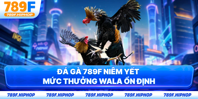 Đá gà 789F niêm yết mức thưởng Wala ổn định